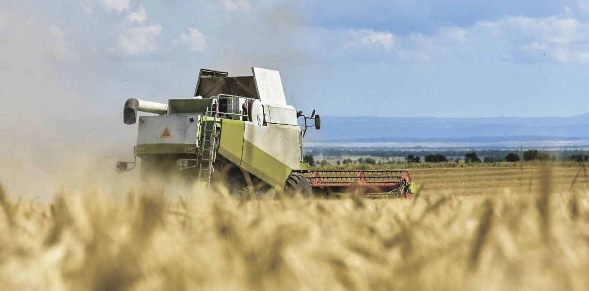 Главные события августа 2025 года в Крыму