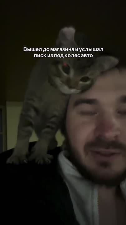 ������� ����� � �������, � �������� � ��������