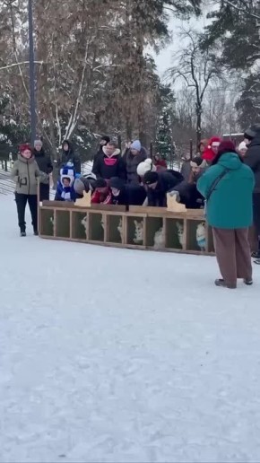 Вот, кто точно не боится никаких снегов и морозов