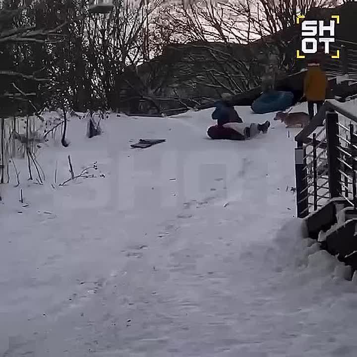 ������� ������� ���������� ��������, ������� �� �������� � ����� �� ����������� ���������, �������� Shot