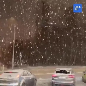 Обещанный снегопад накрыл Москву и область