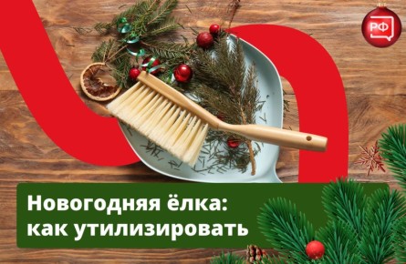 �������� ����������, � �� ������: ����