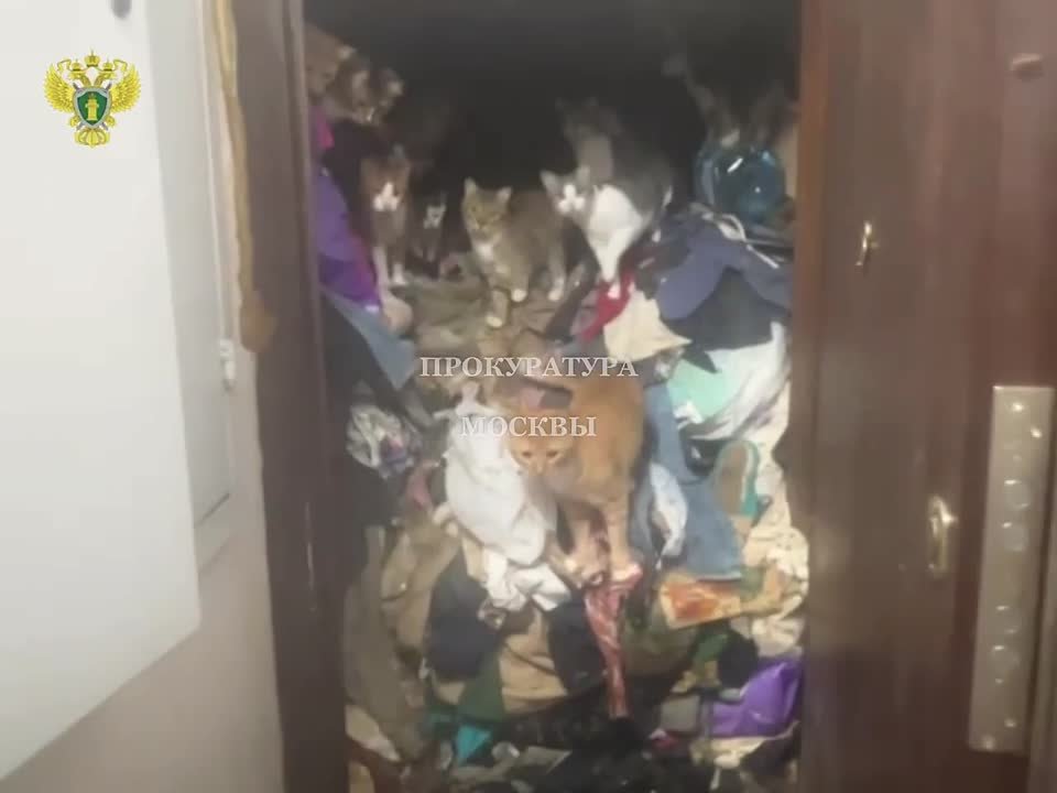 В конце прошлого года состоялась важное для жителей многоквартирного дома по ул. 5-я Кожуховская решение по исковому заявлению Лефортовского межрайонного прокурора