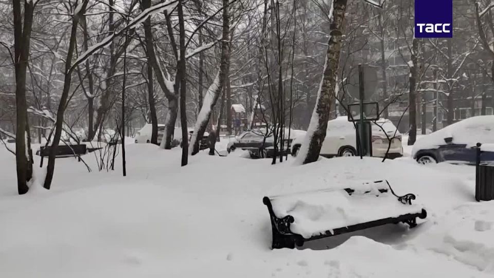 ����� ��������� � ������. ������ ������� ���� ������� �� ������ ����� �� ������