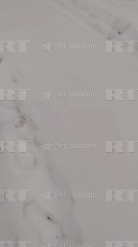 ��� ������ ����� � �� ������