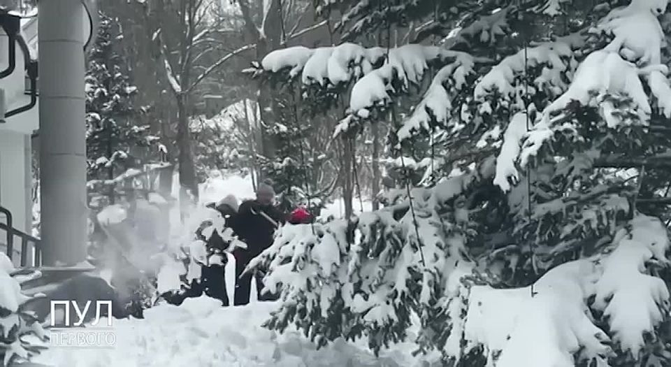 �������� ���� ������� � ��������