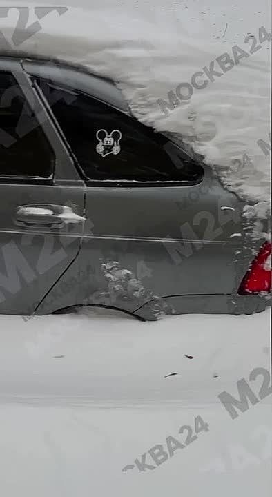 ��������� �� ����-����������� �������� ������ ��������