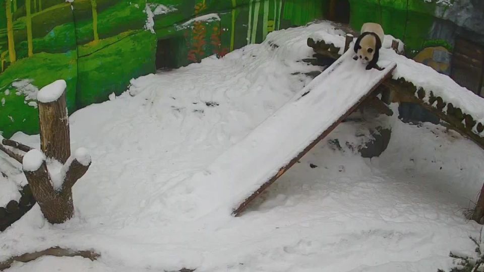 ������ �������� �� ��� � ������, ���� ������ ���� ����� � ���� ����������� � �����