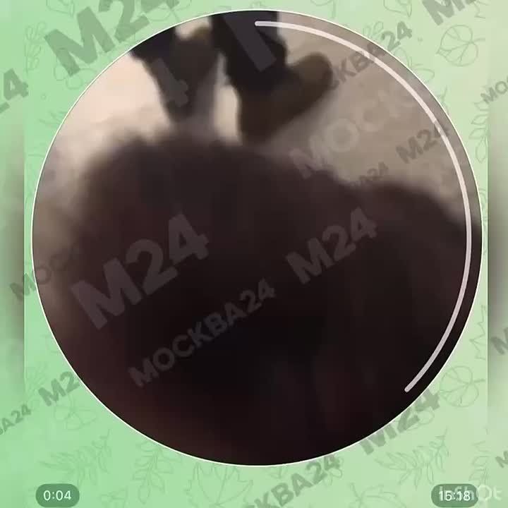 ��-�� ��������� ��������� ��� ��� ���� ���� ������ ������ � �����������, �������� ��������