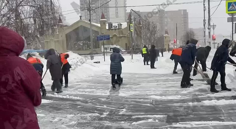 ������������ ���� ����� ������� �����������