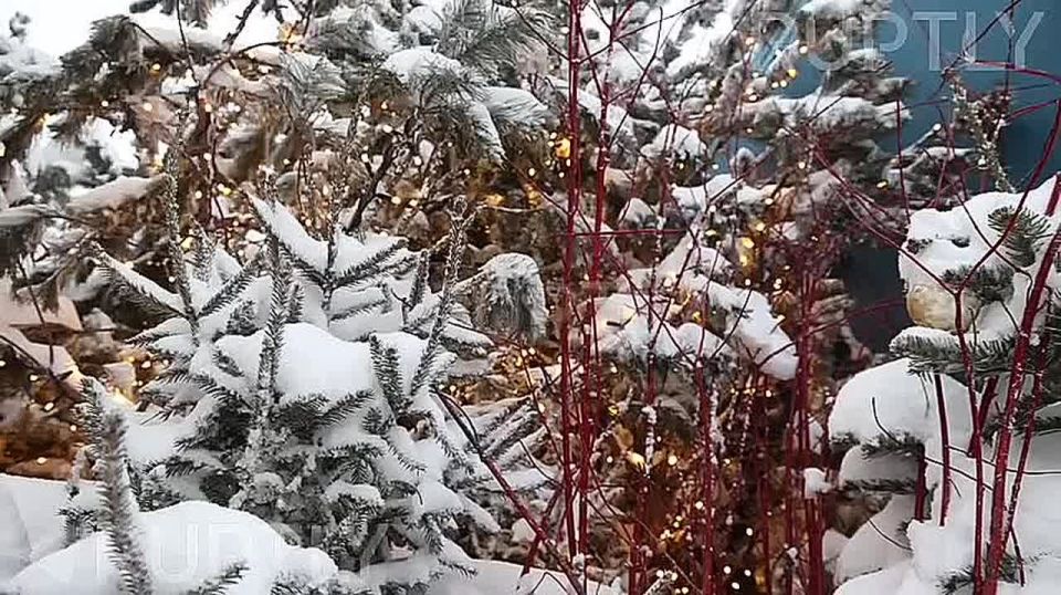 ����� ����������� ������: � ������ ������� ������� ������� �� 50 ��, � ���� ������ ������� � �� ��������� ������ ������������ ������ �������