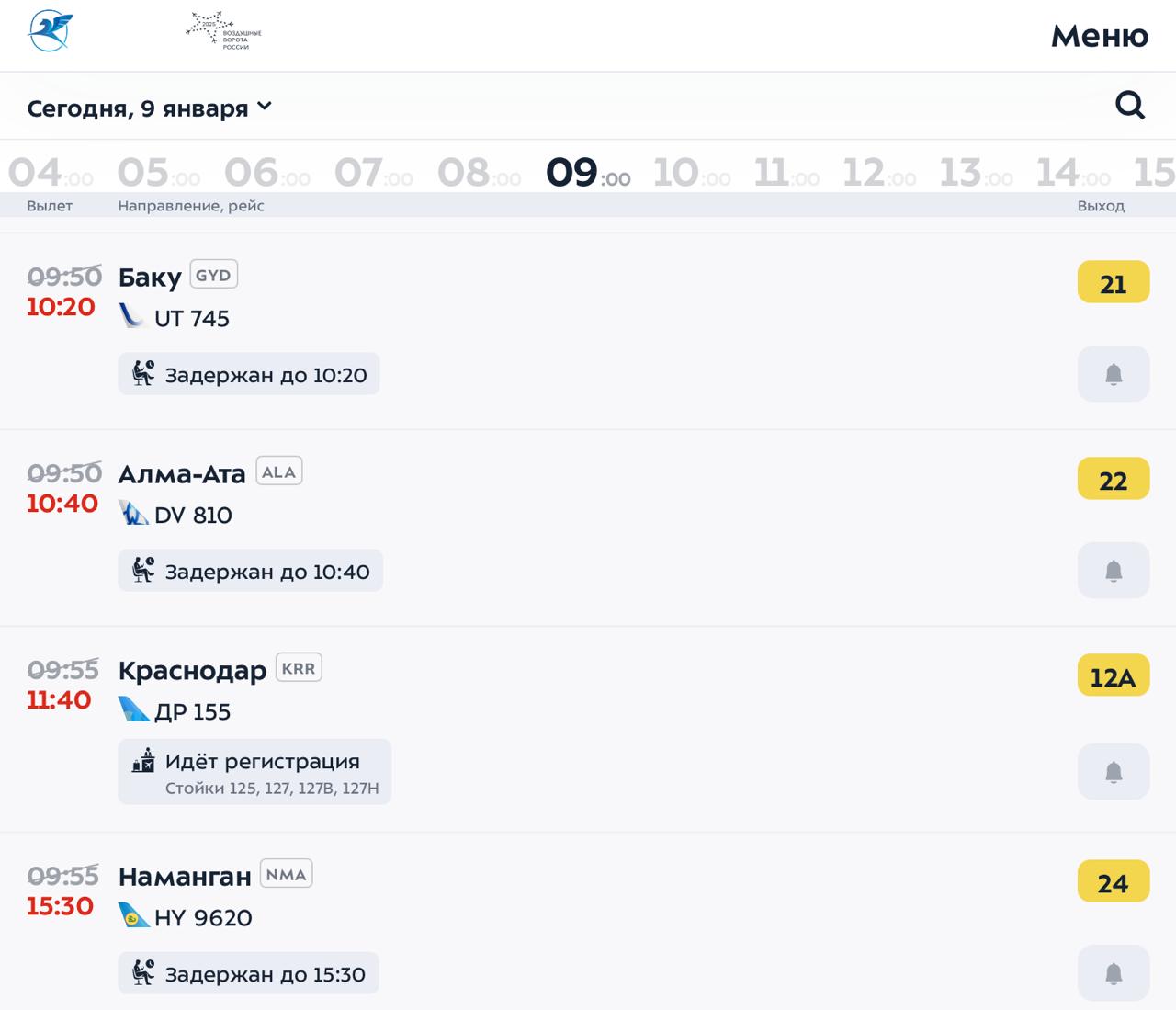 Около 200 рейсов отменили или задержали из-за непогоды в Москве: