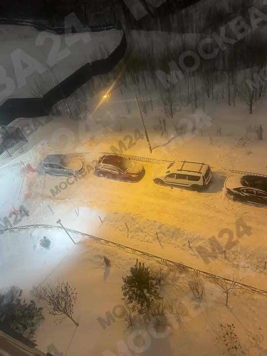 ����� ������ ������ ����� ����� ������