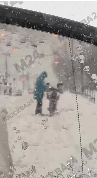 �������� ������ ���� �� ������