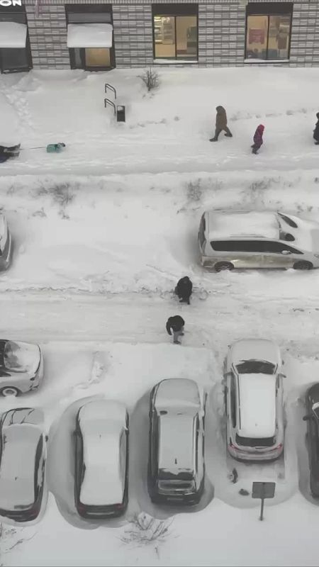 �������� �������� �� ������� �������