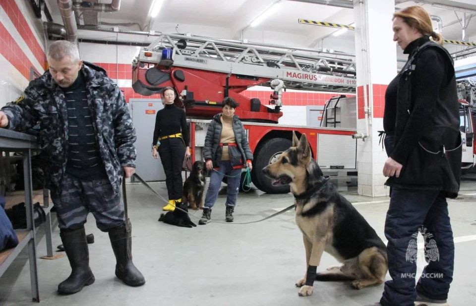 ������������ ��������� ���������� ����������