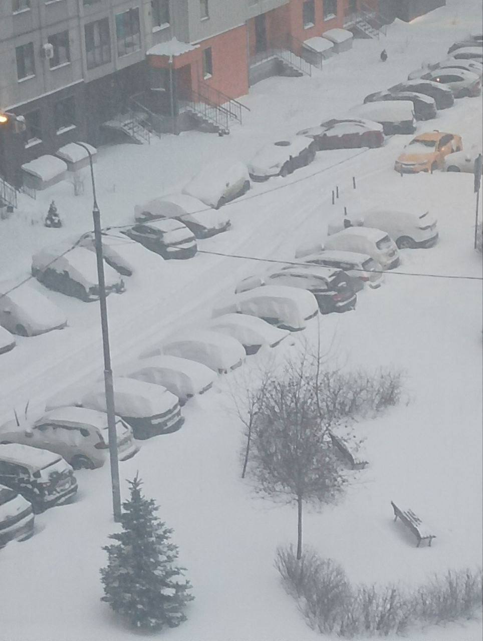 Полуметровые сугробы выросли в столичном регионе Полуметровые сугробы выросли в столичном регионе