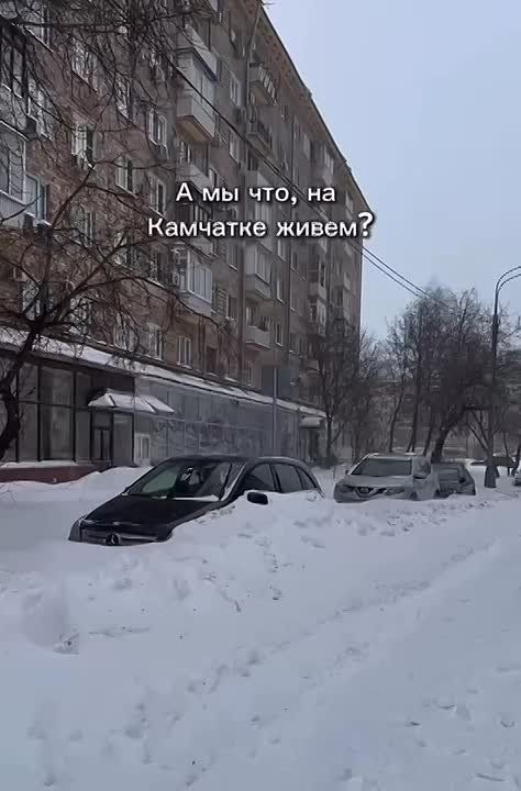 ���-�� �������� � ���������?: ������� ������ �������� ����� ������� � ��������