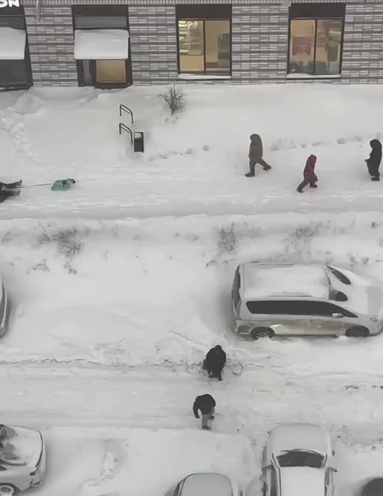 ����� ���� ��������� ��I ���� �����: