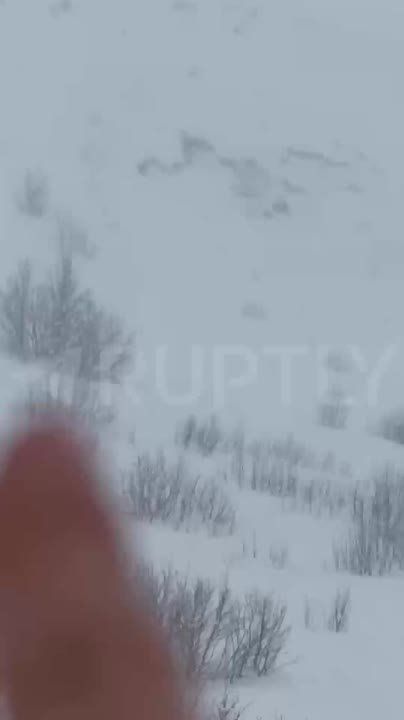 ������ ����� � ����� ������ � ������� ������ ��������, ����� ������� ���� ��������