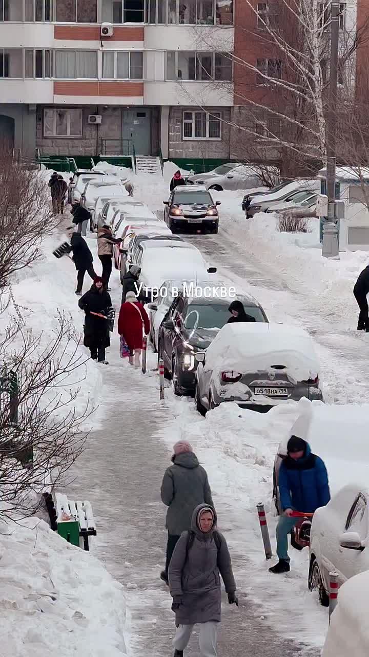 Москва пережила один из самых мощных снегопадов за последние 150 лет