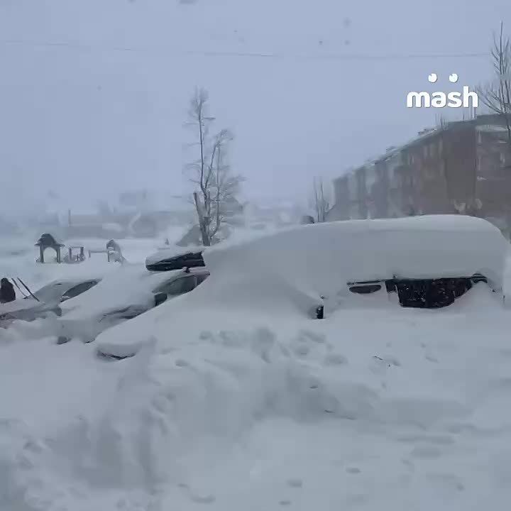 ������� ����������� � ������ � ������� �������� ����� ������� �� 146 ��� � � ���� ������� ������� �� 40-50 ��. ������� ���������� ������� �� ������� � ��������� �������� �� ��� ������, ������ ����������� ������ � ���������...