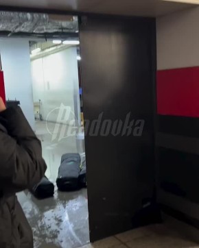 Пассажиры «Аэрофлота» с билетами за 133 тыс нашли свой багаж в луже в Шереметьево