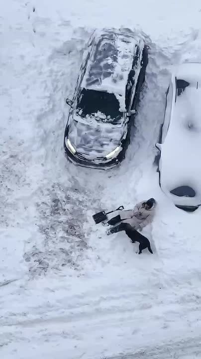 �������� � ������ ����� � ������� ����� ������ �� 146 ���