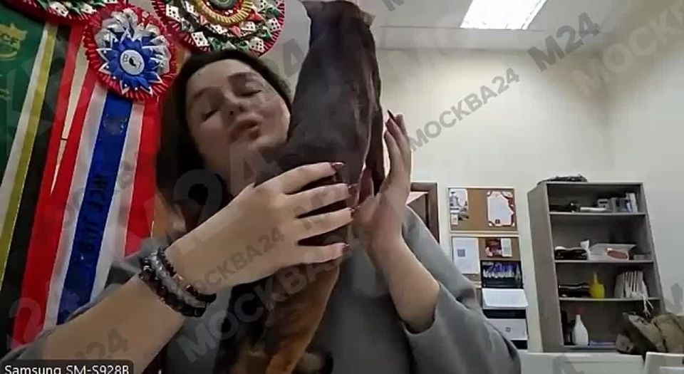 ������ ������� ������� ���� ���!