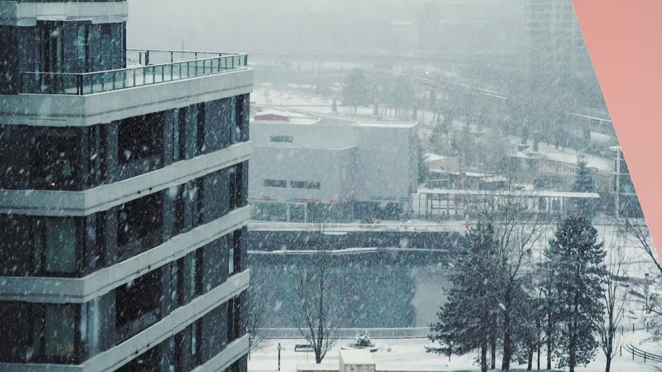 ������� ��������� ����� ����� ��� �� �����, ��� � � ����������