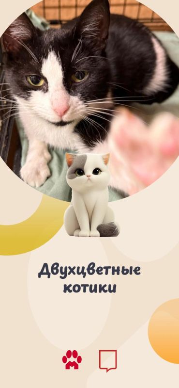 ����� ���, ����� ������� ������, ����� #�������������������! ������������� � ���� ����������� ���������� ���������� �������