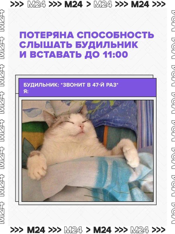 ��������, ������ ����� �12 �������