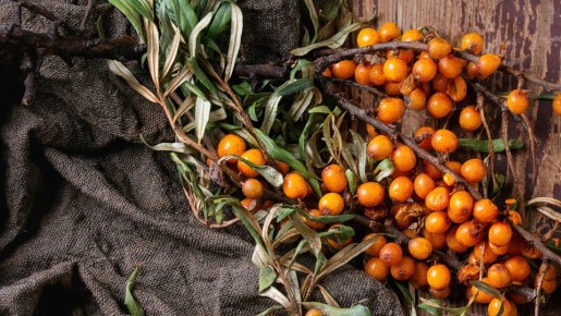 ��������� � ������: ���������� ���� �� �������� ������ ������� �������� ����������