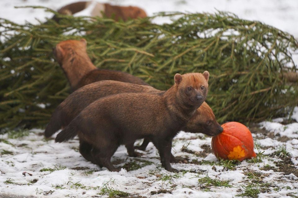 ��������� ��������� ���������� �������� ������ ����� �������� �� 7,5 ������ ��������� ������ �� ���������� ����� ��� ����������� ����������� ��������