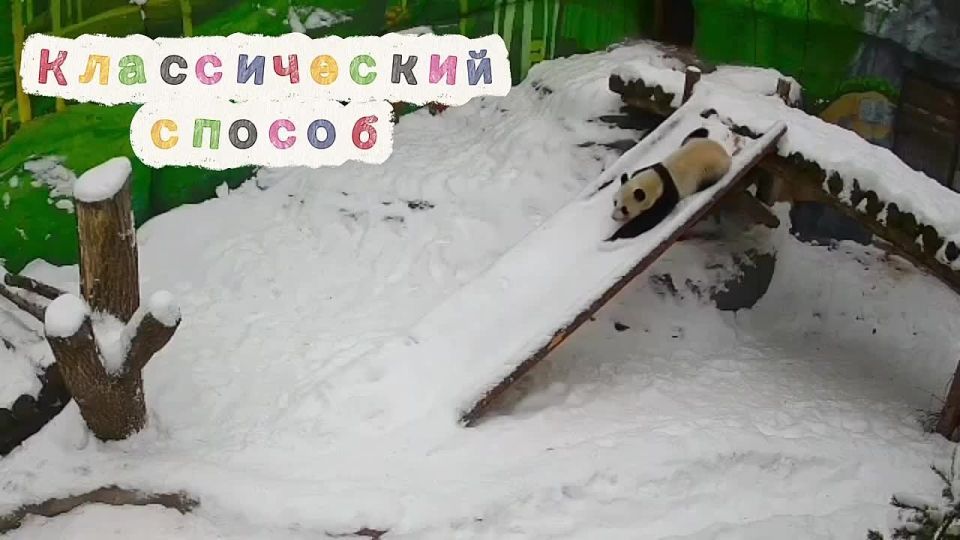 ������ ���� ����� � ������ �������� ����� ������ �� ����������� ��������