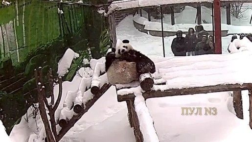 ��������� � ������ ����� ���� ������ �����: