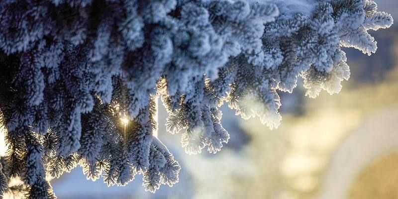 � ������ ��������� ���� ���� � �������� ������