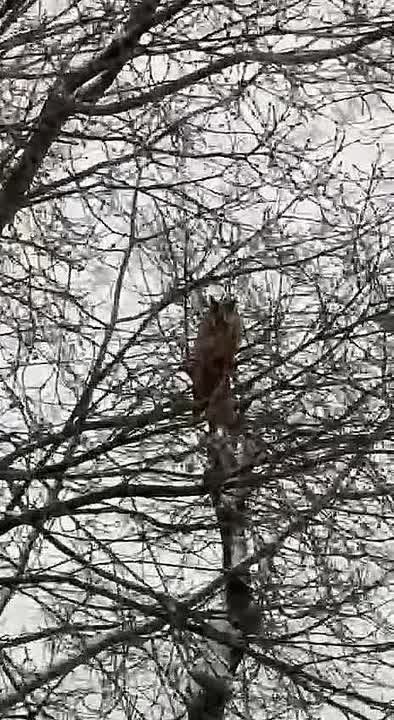 ��������, ��� ������� ��� ����� � ����