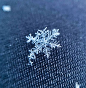 ���������: �������� ������� �� ����������� �� ������, ������� ��� ������� �� ������ ����� ���������� ������������ �����, ������������� ��������