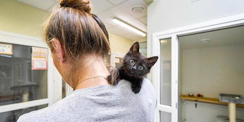 ����� 2,7 ������ �������� ����� ����� ��� � ������� ������� ������������ � 2025 ����