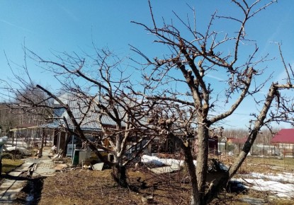 �������� ���������� ������: ��� �������� ��� �� ���������� � ��������