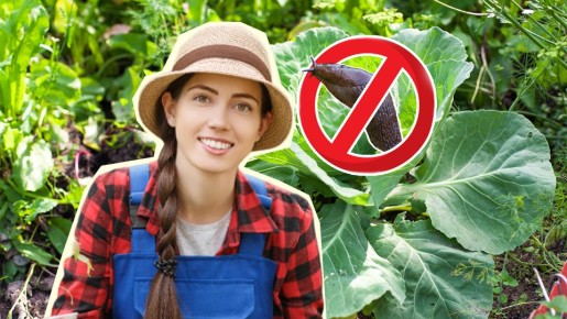 �������� � ������ � ����� ������� ������ �� �����������: ������� �������� �����