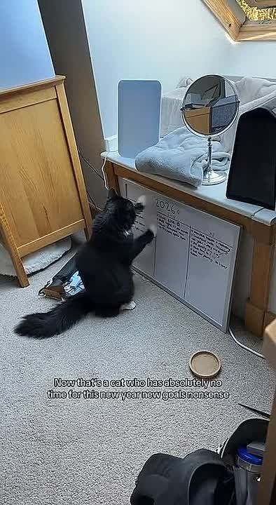 � ������ ����� ��� ����� ����� ��������� � ������ � ���������, ������� �� ���� ������ � ����� 2025-��