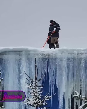 ��� ��� �����!�: ������������ ������ ��������� ��������� ������� ��������