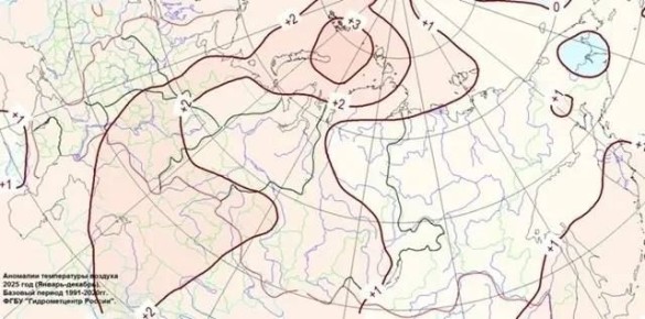 2025 ��� ���� � ������ ������ ����� ������ � �������