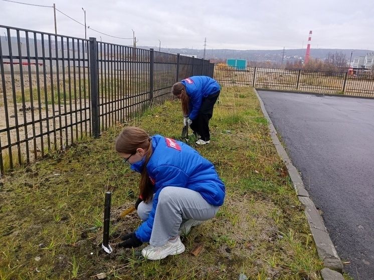 ���� ���������� �������: � ������ �������� ��� � �����