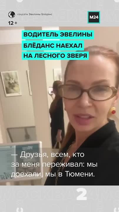 «Мы в Тюмени. По дороге сбили оленя»