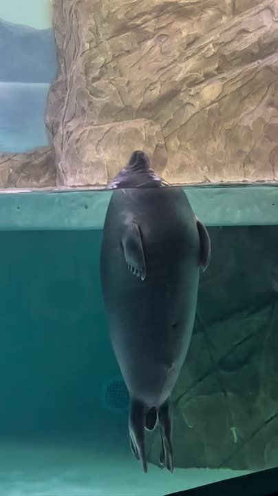 ��� ��� �������� ��������� ������������ �������� ����� ������ ������� ������ 2026 ����