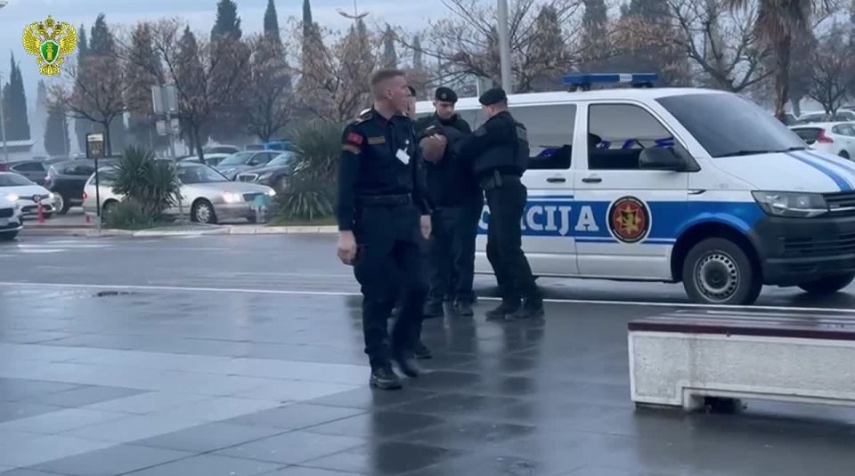 � ������ �� ���������� ������������ ������ �������������, ����������� � ��������������� �������������