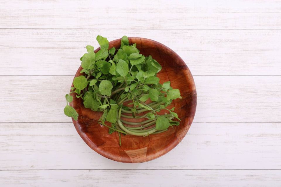 ���������� ����� � ������ ����� �������� ��������� � ����